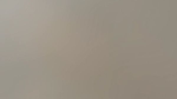 Maîtriser le waiter's curl : guide pratique pour des biceps bien sculptés